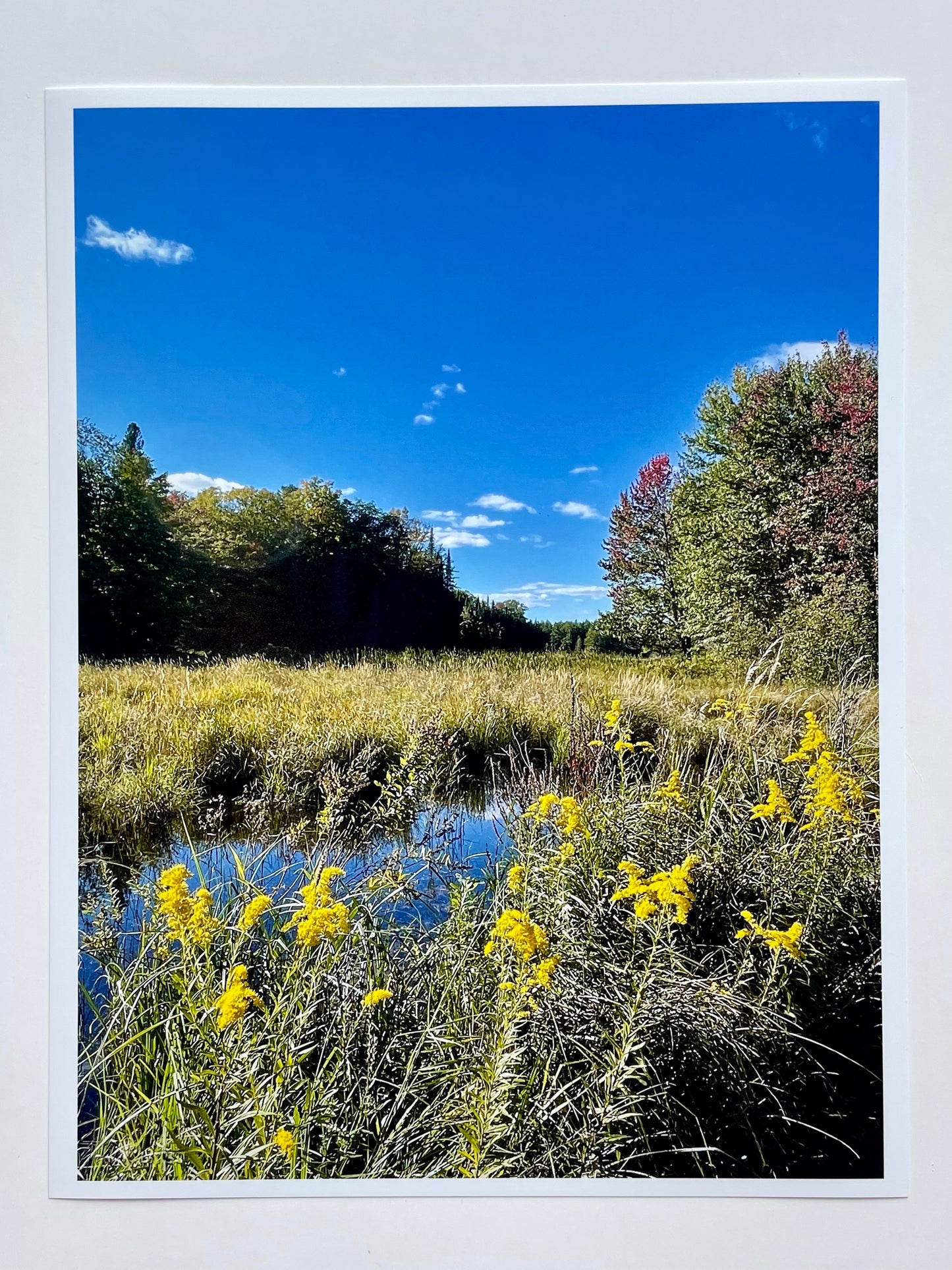 Yellow Flowers Art Print