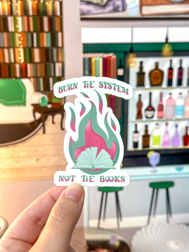 Burn The System Not The Books Vinyl Sticker