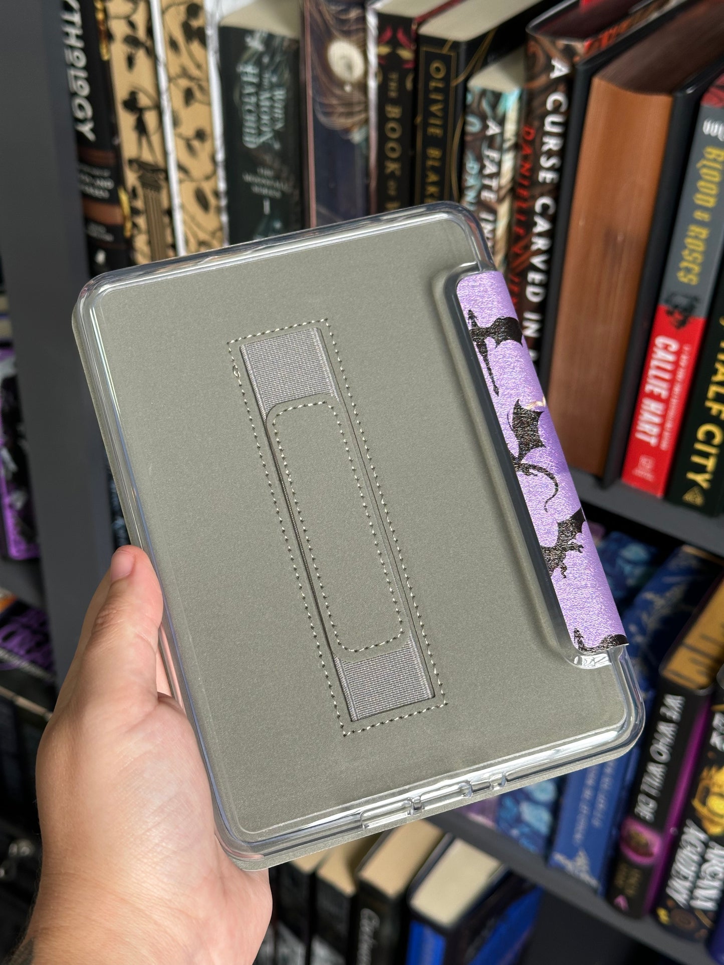 Dragons Kindle & Kobo Case