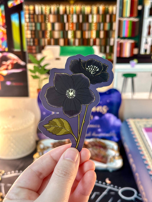 Black Hellebore Flower Sticker